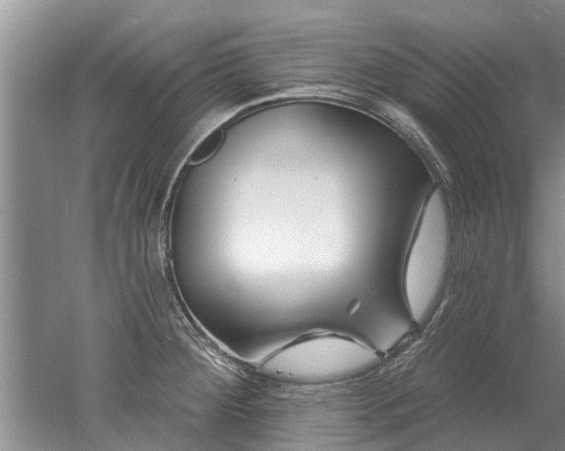 X0000052981284200507151818