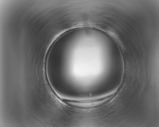 X0000052981288200507151818