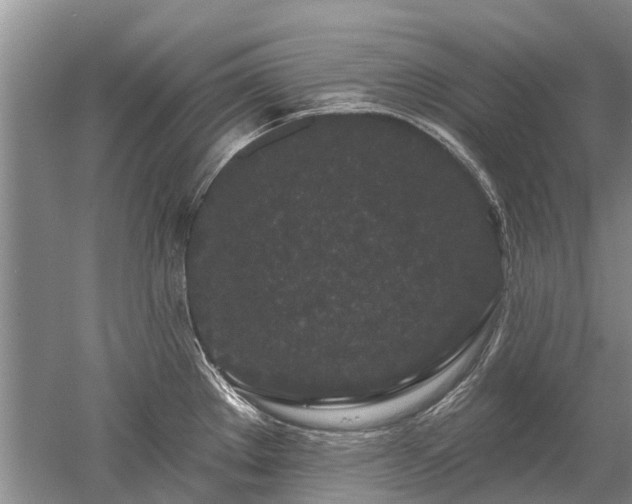 X0000052981289200507151818