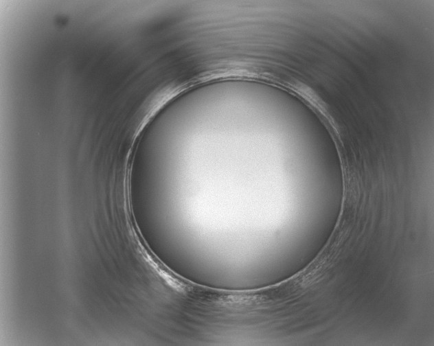 X0000052981290200507151818