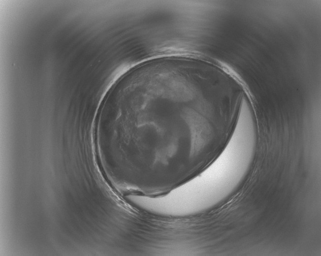 X0000052981291200507151818