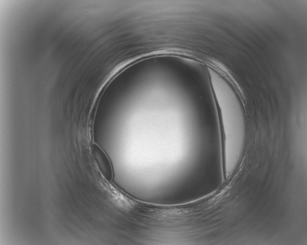 X0000052981292200507151818