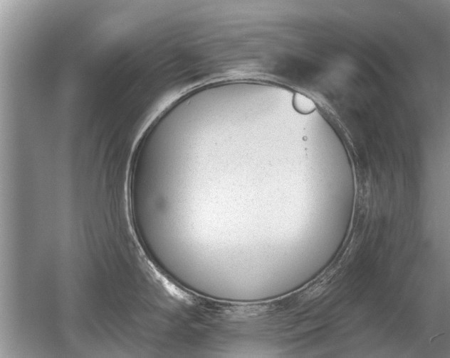 X0000052981294200507151818