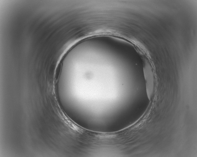 X0000052981296200507151818