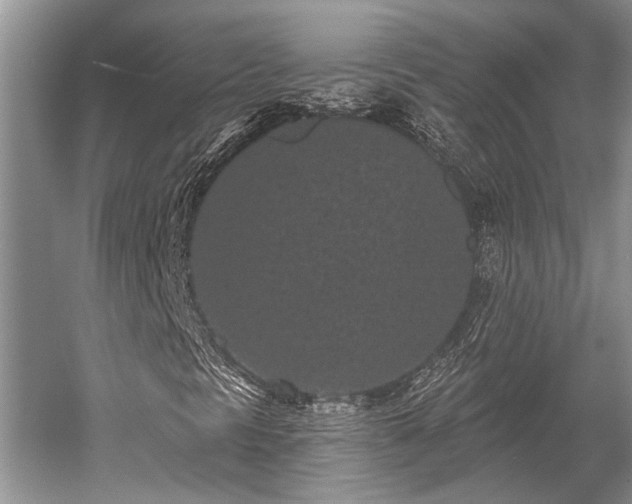 X0000052981297200507151817