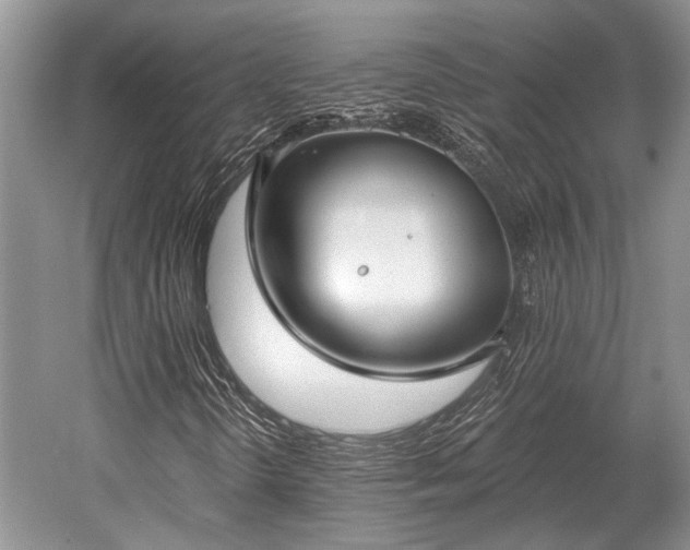 X0000052981298200507151817