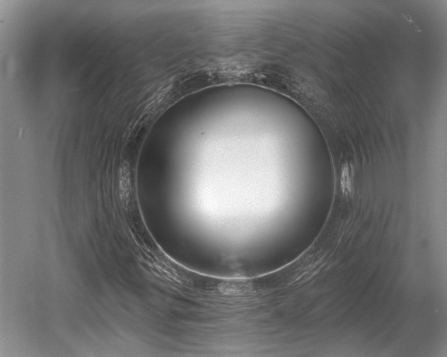 X0000052981299200507151817