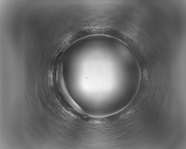 X0000052981300200507151817