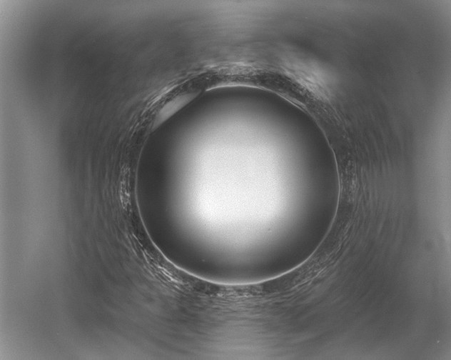 X0000052981301200507151817