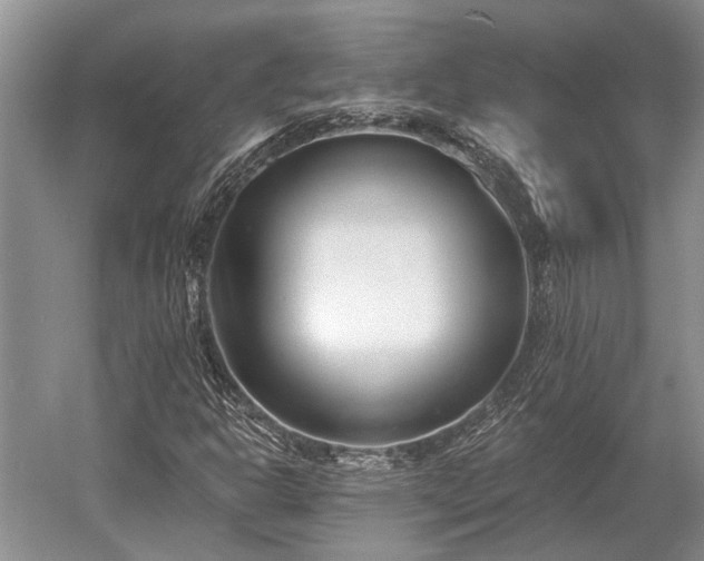 X0000052981302200507151817