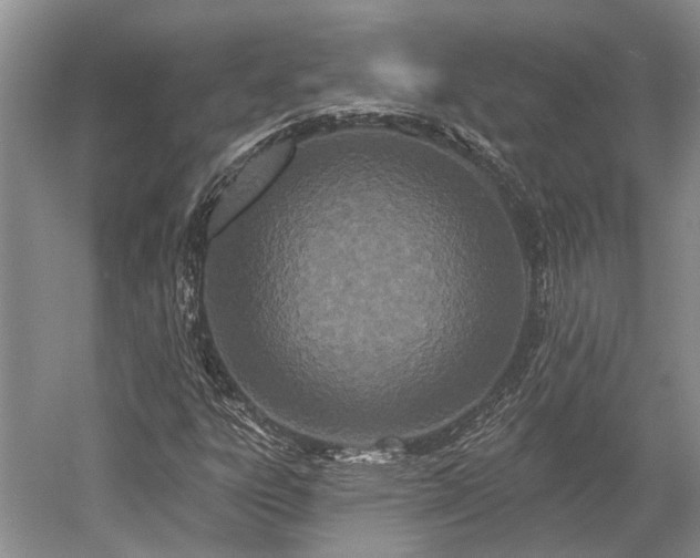 X0000052981303200507151817