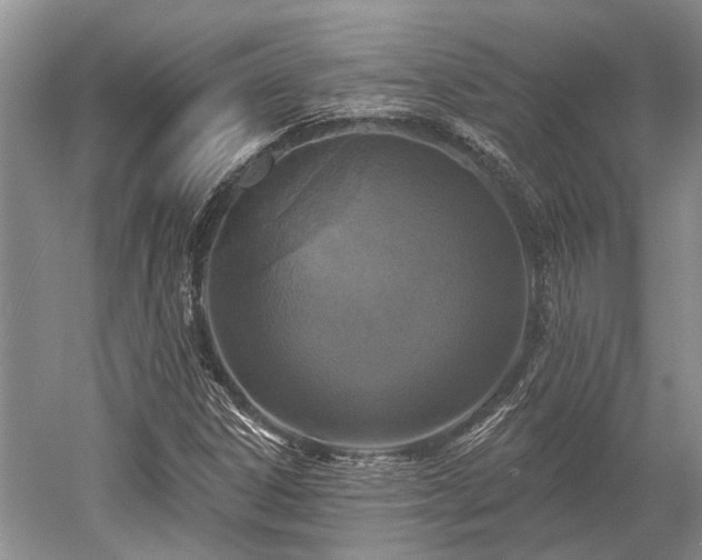 X0000052981306200507151817