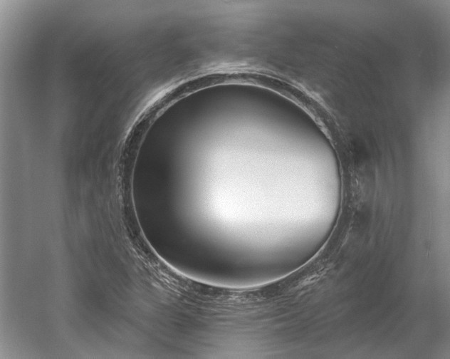 X0000052981311200507151817