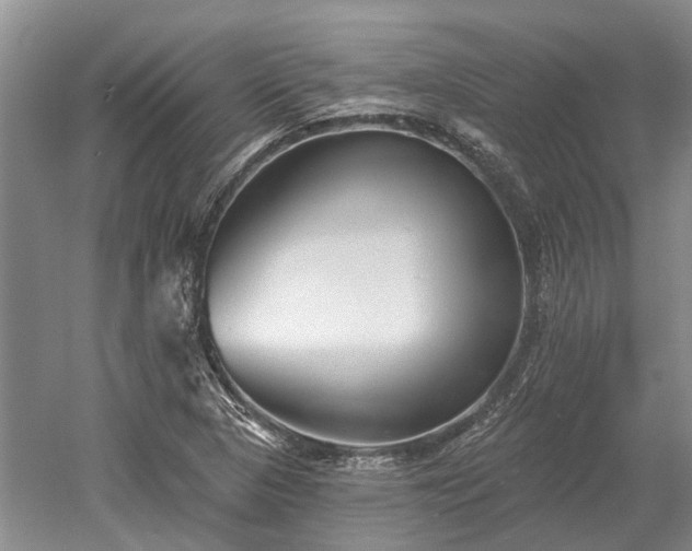 X0000052981313200507151818