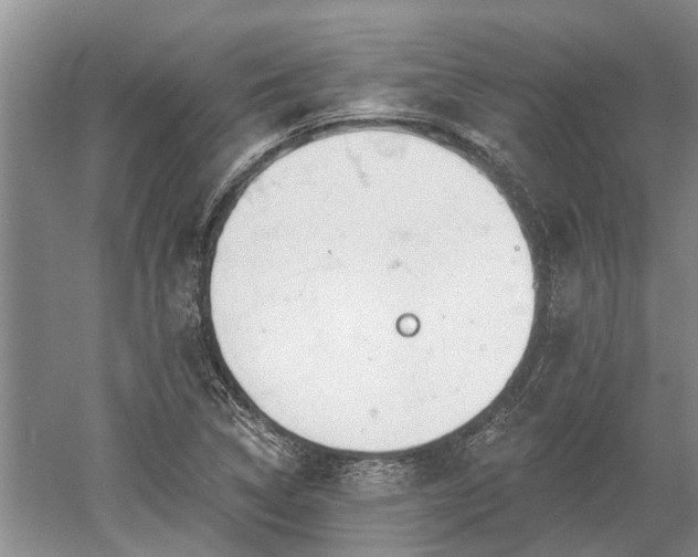 X0000052981314200507151818