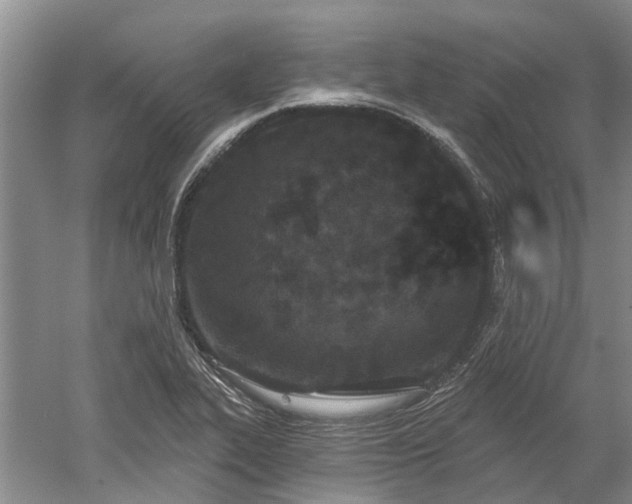 X0000052981319200507151818