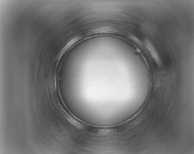 X0000052981322200507151818