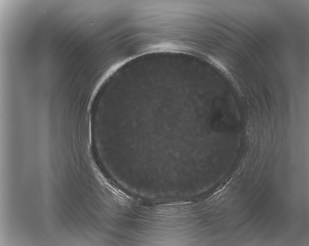 X0000052981323200507151818