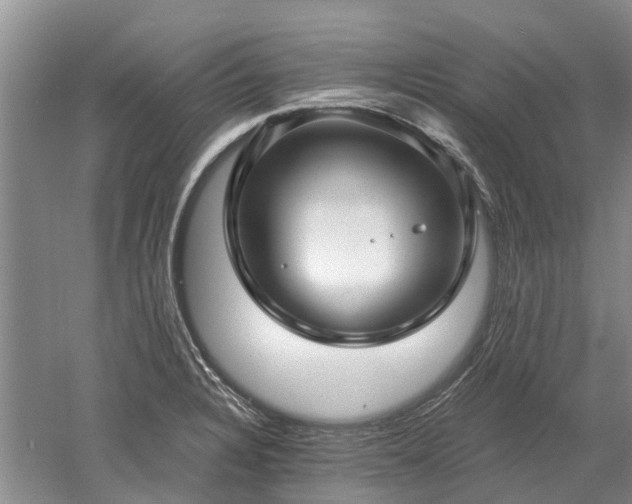 X0000052981328200507151818