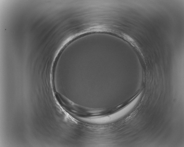 X0000052981334200507151818