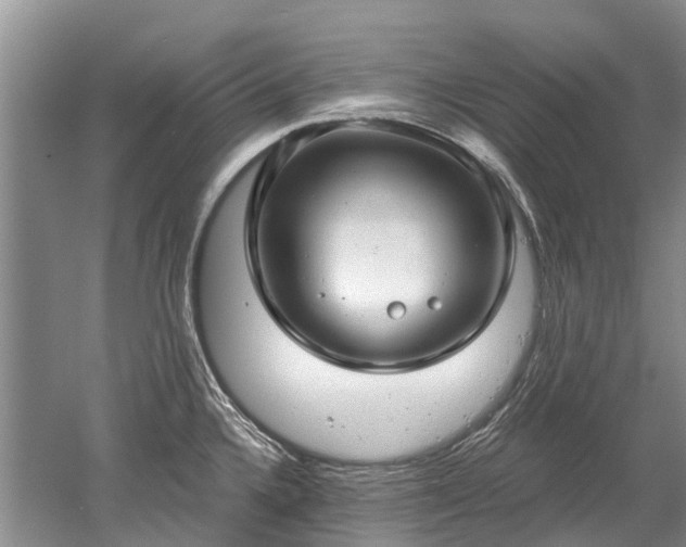 X0000052981336200507151818