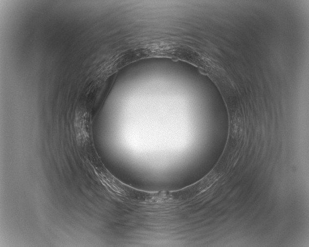 X0000052981346200507151817