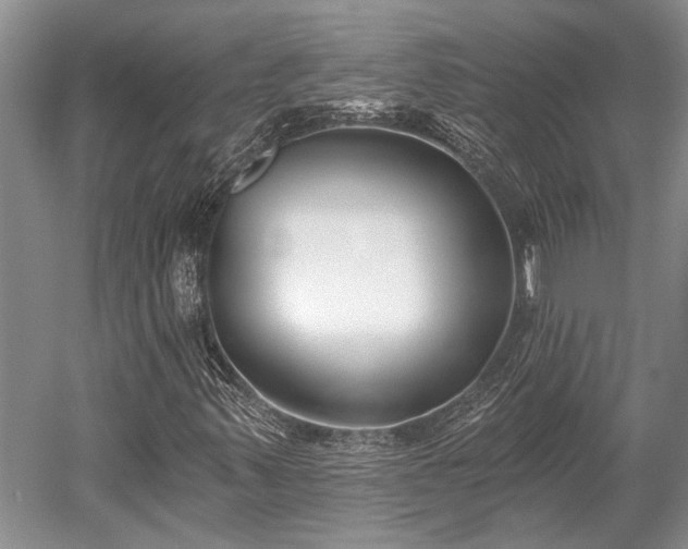 X0000052981347200507151817