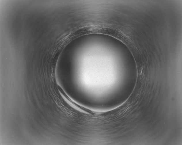 X0000052981348200507151817