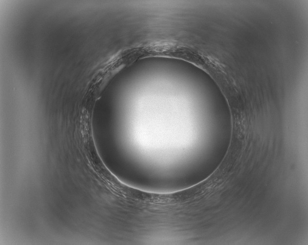 X0000052981349200507151817