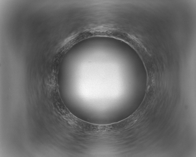 X0000052981350200507151817