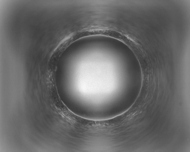 X0000052981351200507151817