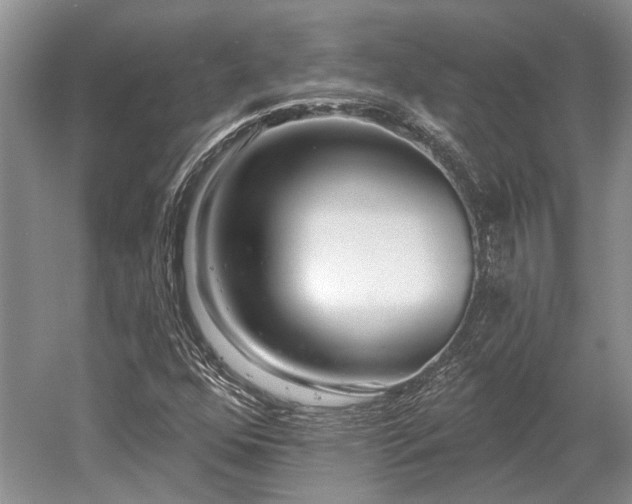 X0000052981352200507151817