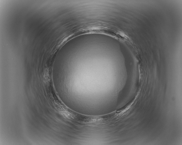 X0000052981353200507151817