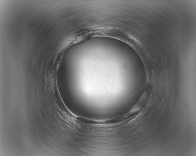 X0000052981354200507151817