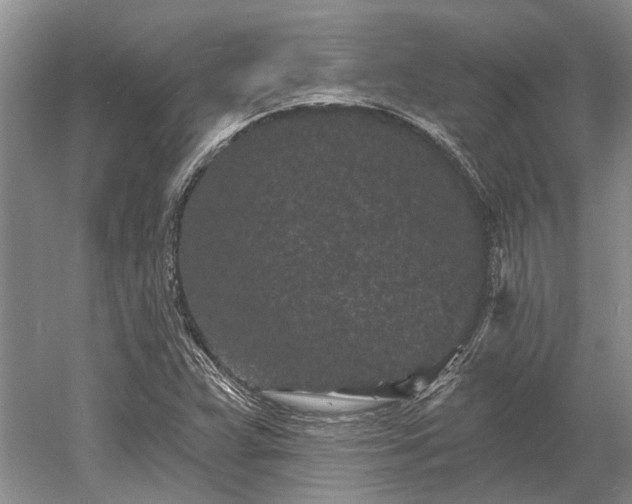 X0000052981359200507151817