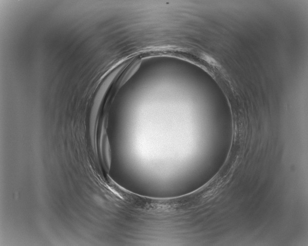 X0000052981361200507151817