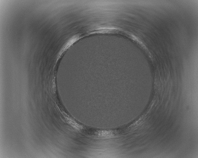 X0000052981362200507151817