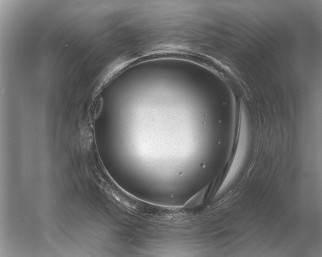 X0000052981363200507151817