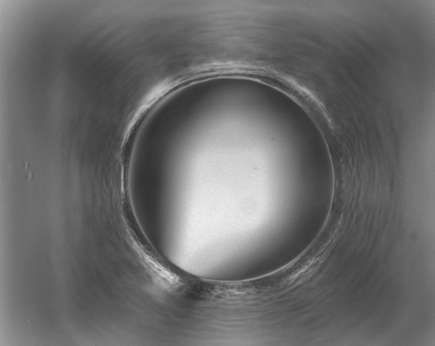 X0000052981365200507151817