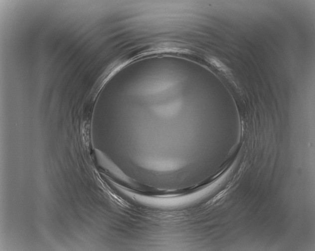 X0000052981369200507151817