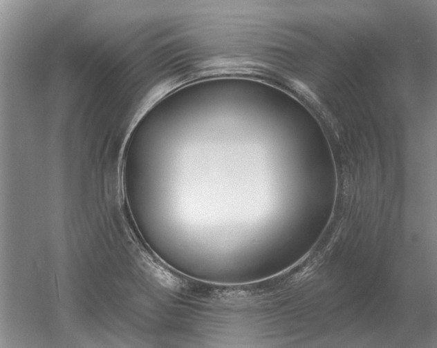 X0000052981370200507151817