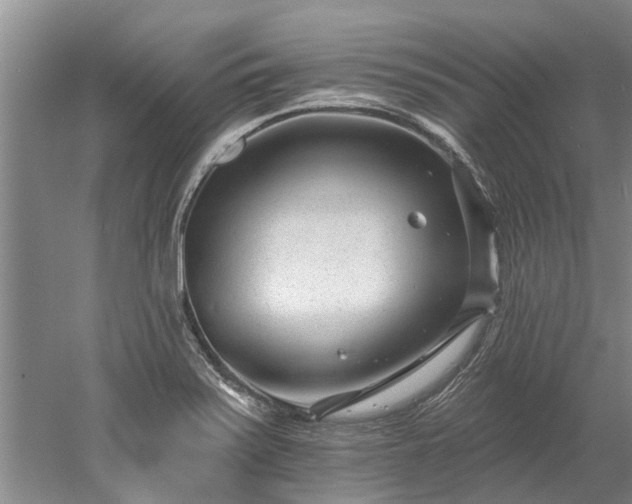 X0000052981371200507151817