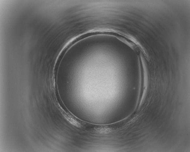 X0000052981372200507151817