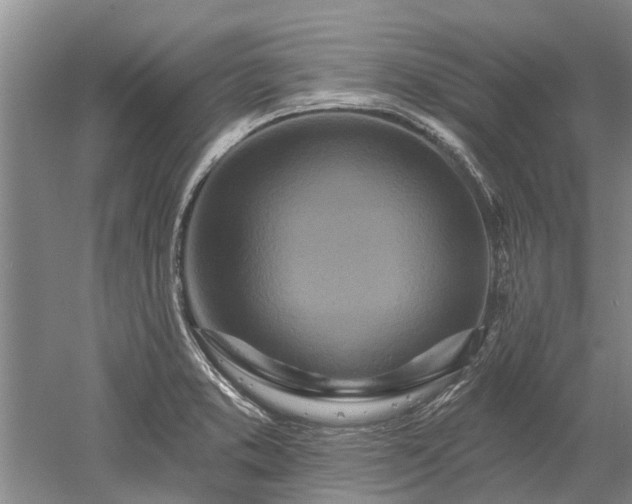 X0000052981373200507151817