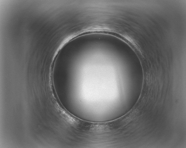 X0000052981374200507151817