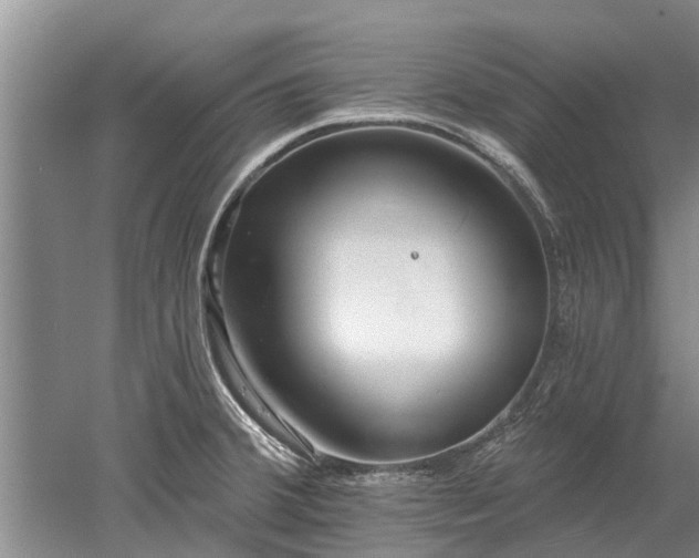 X0000052981380200507151817