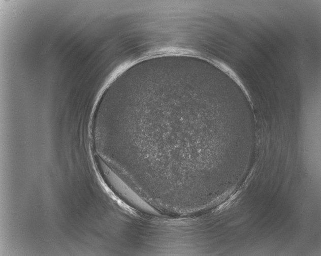 X0000052981381200507151817