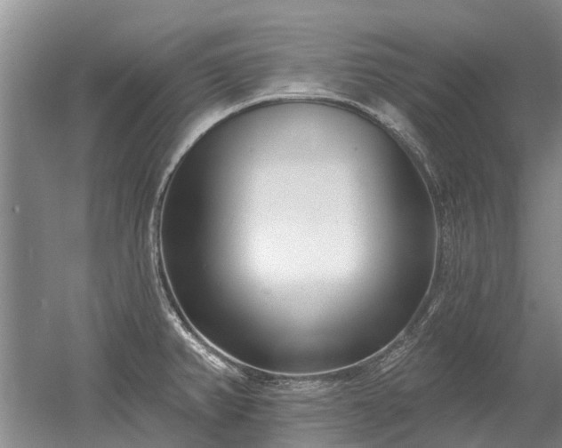 X0000052981382200507151817