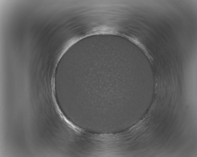 X0000052981383200507151817