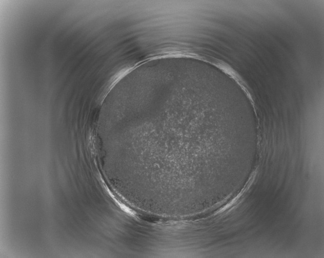 X0000052981385200507151817